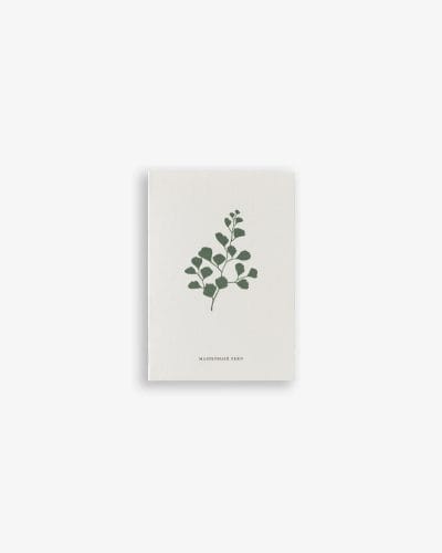 Minikort Maidenhair Fern